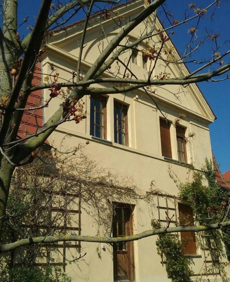 Haus Schmeile Magdeburgo Esterno foto